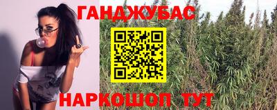 PSILOCYBIN Заводоуковск