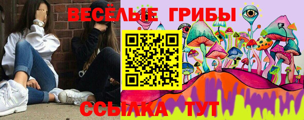 Псилоцибиновые грибы прущие грибы  Вход с VPN  Кулебаки 