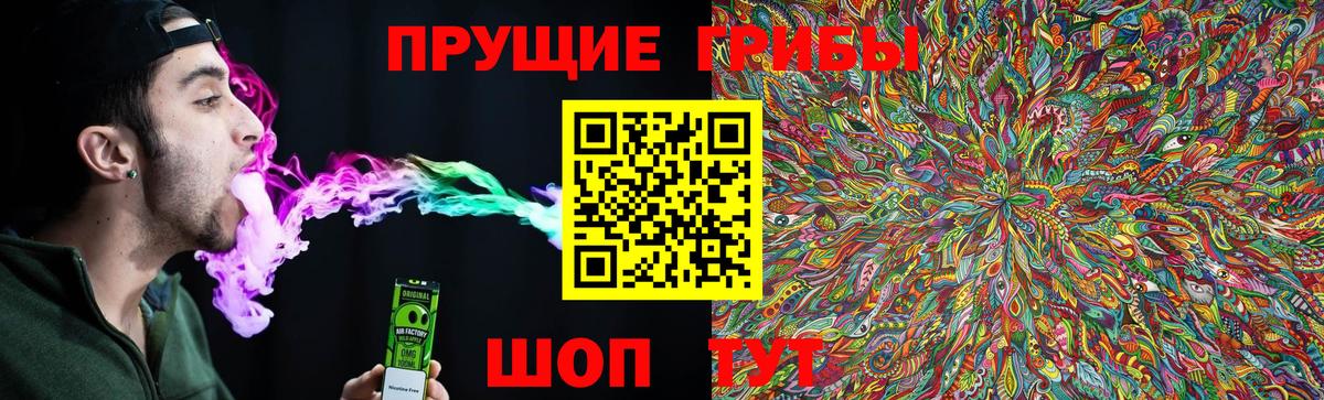 Псилоцибиновые грибы Cubensis Кулебаки